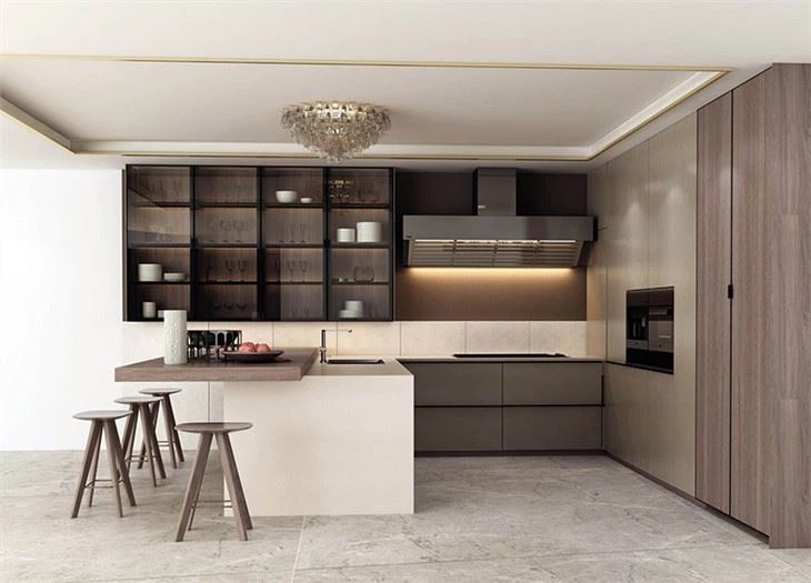 Contemporary Modern Kitchen Cabinets